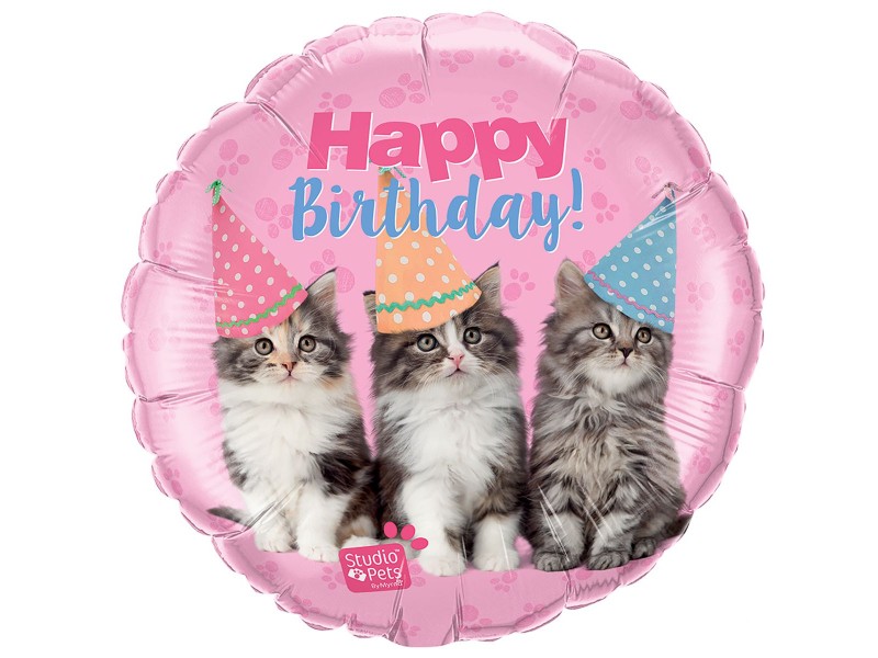 Happy birthday, кошенята, 18"