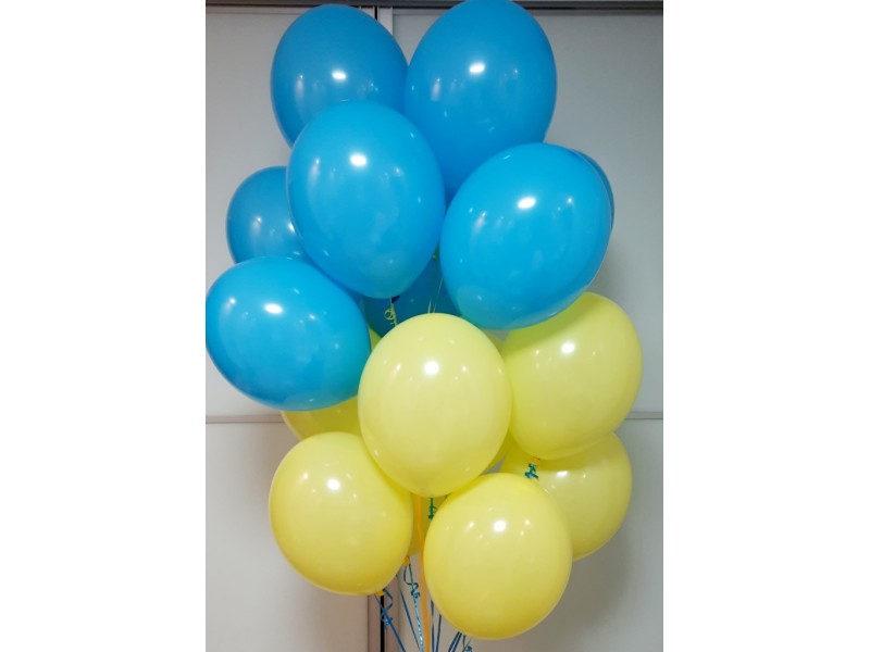 Жовто-блакитні  12", 15 шт.