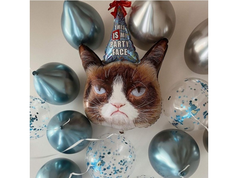 Милий котик, 13 шт.