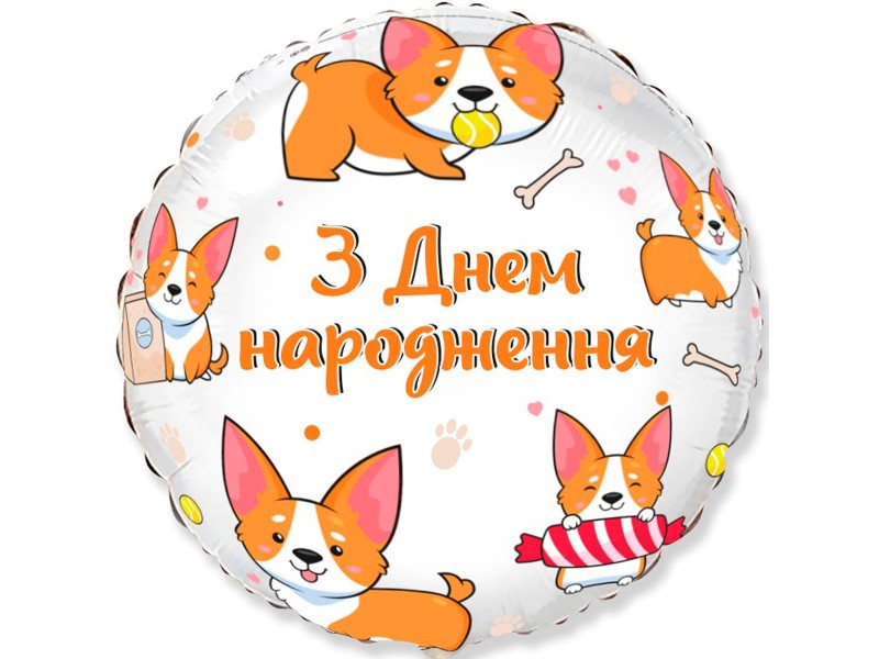 З Днем народження, коргі 18"