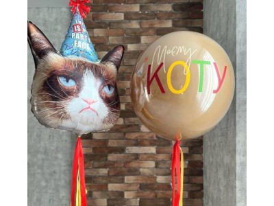 Моєму Коту