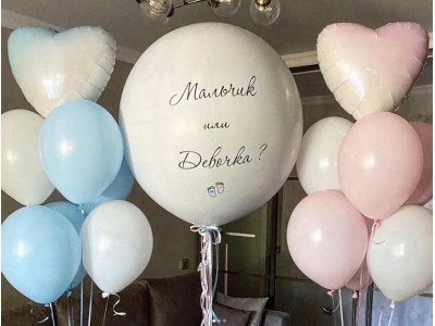 Гендерна вечірка, 15 шт.